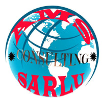 AMS CONSULTING SARL
